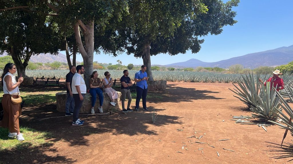 Gastronomy in Tequila Jalisco Mexico Guide Michelin