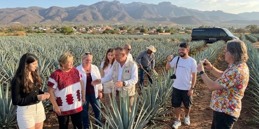 Best Tour to Tequila in Jalisco Mexico